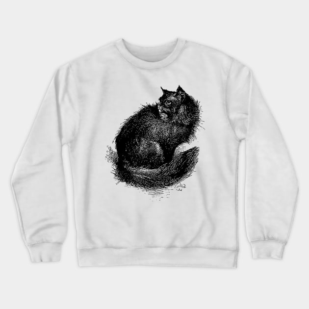 A Gentle Fuzzy Cat Crewneck Sweatshirt by BitterBaubles